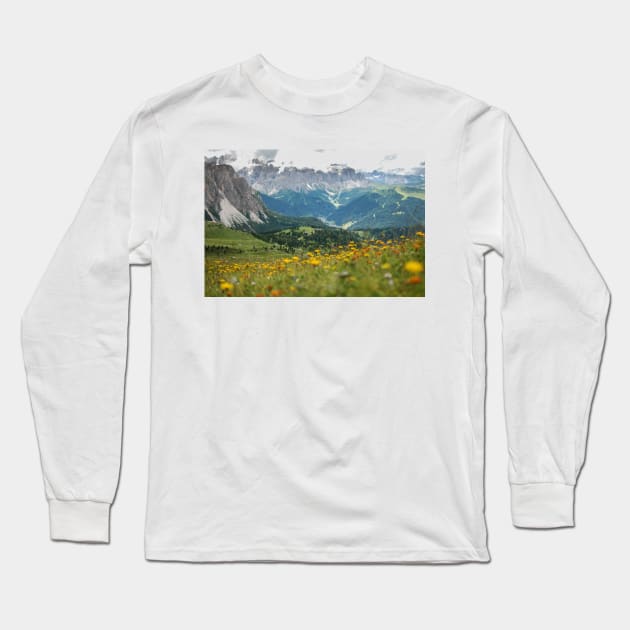 Mountain meadow Long Sleeve T-Shirt by artesonraju